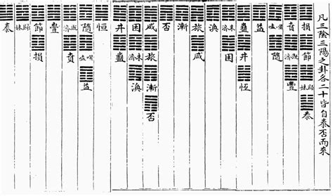 陰與陽|爻象全攻略：一次學會易經卦象中的所有爻位與陰陽變化